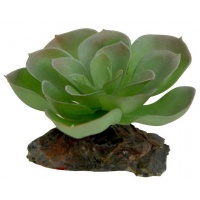 LUCKY REPTILE Декоративное растение для террариумов "Echeveria"