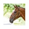 SHIRES BRIDLEWAY Кожаный недоуздок для лошади с именной табличкой, FULL, коричневый