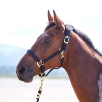 SHIRES Недоуздок "Topaz", черный